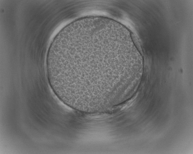 X0000077291199200611101335