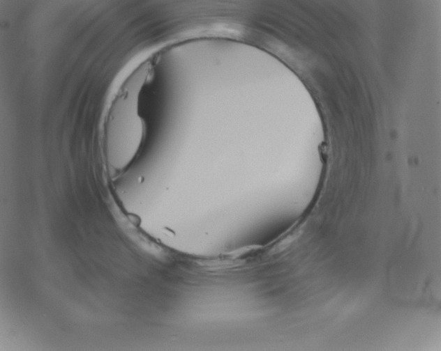 X0000077291200200611101335