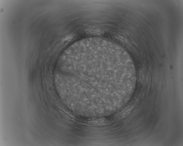 X0000077291201200611101334