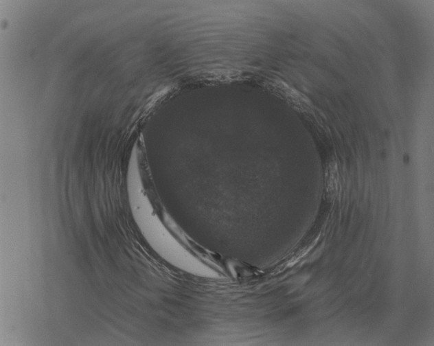 X0000077291202200611101334