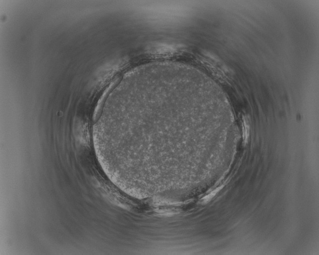 X0000077291204200611101334