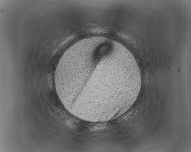 X0000077291205200611101334