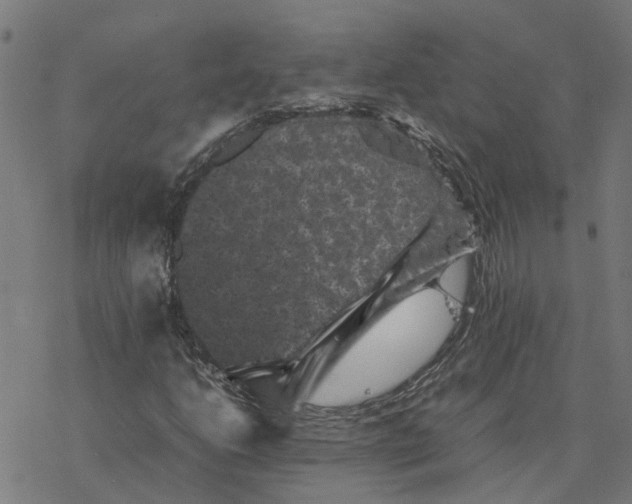 X0000077291206200611101334