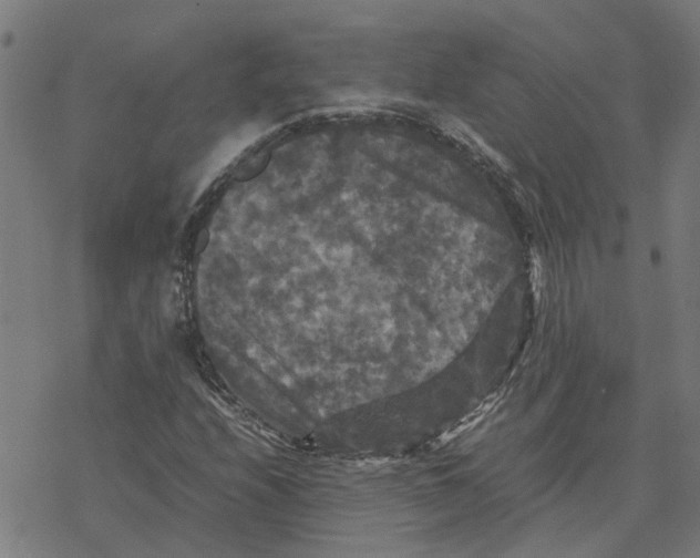 X0000077291208200611101334