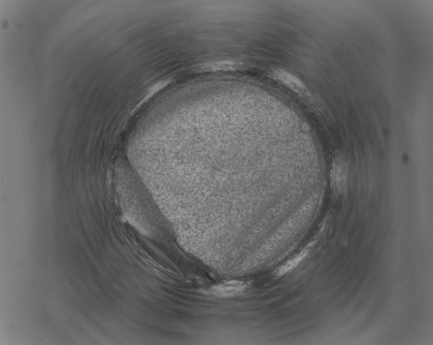 X0000077291209200611101334