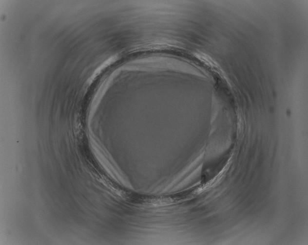 X0000077291210200611101334