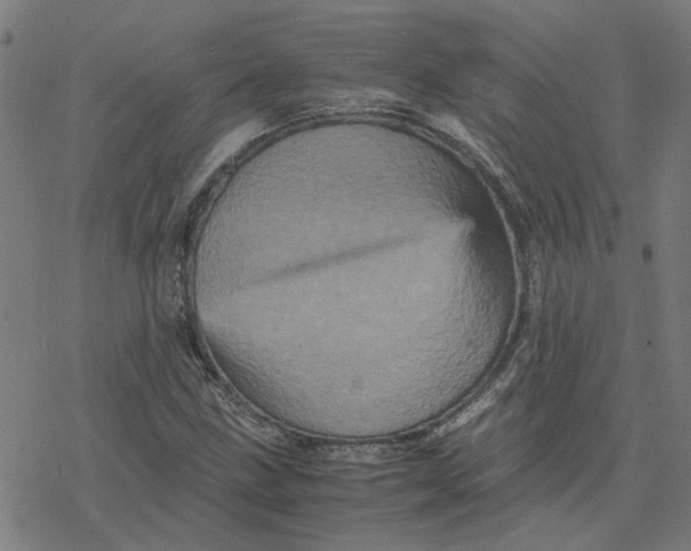 X0000077291211200611101334