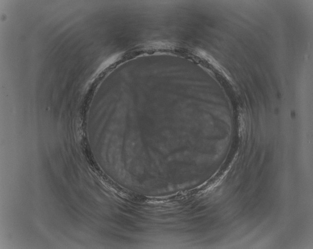 X0000077291213200611101334