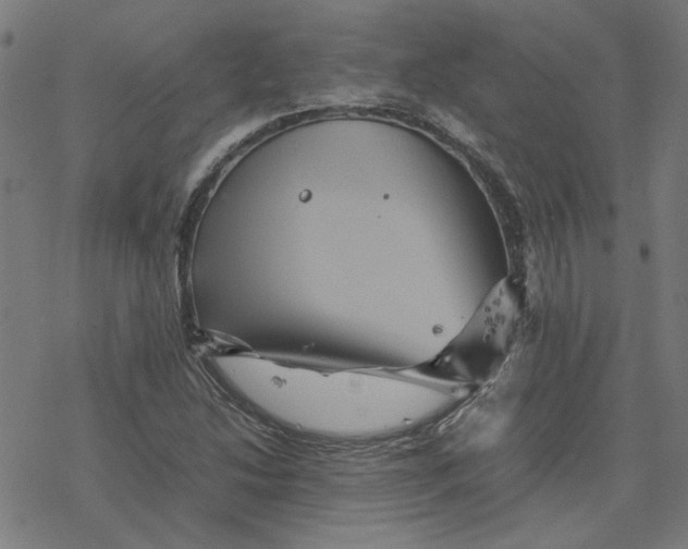 X0000077291214200611101334