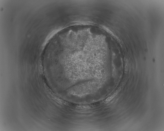 X0000077291215200611101334