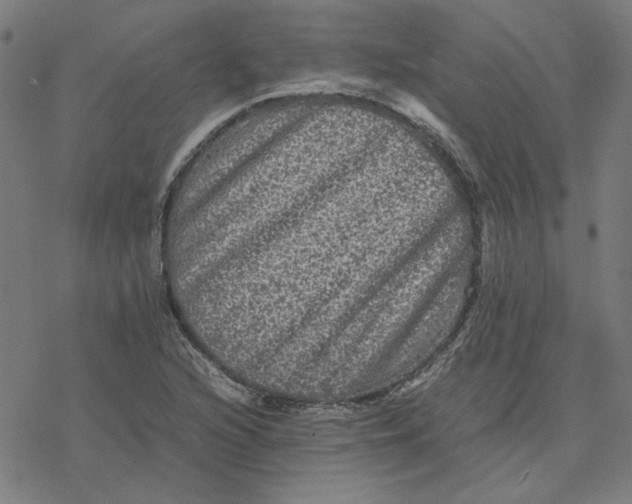 X0000077291216200611101334