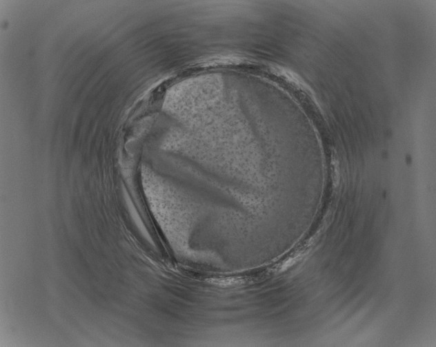 X0000077291217200611101334