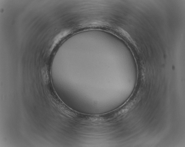 X0000077291218200611101334