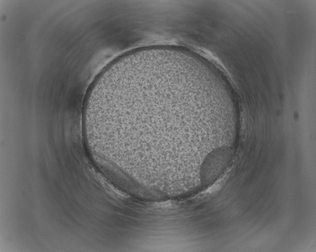 X0000077291220200611101334