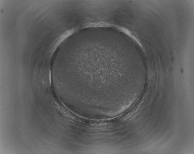 X0000077291221200611101334