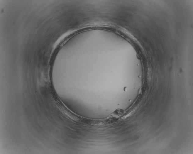 X0000077291222200611101334