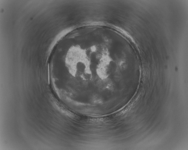 X0000077291223200611101334