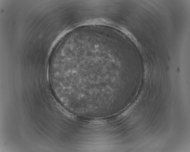 X0000077291224200611101334