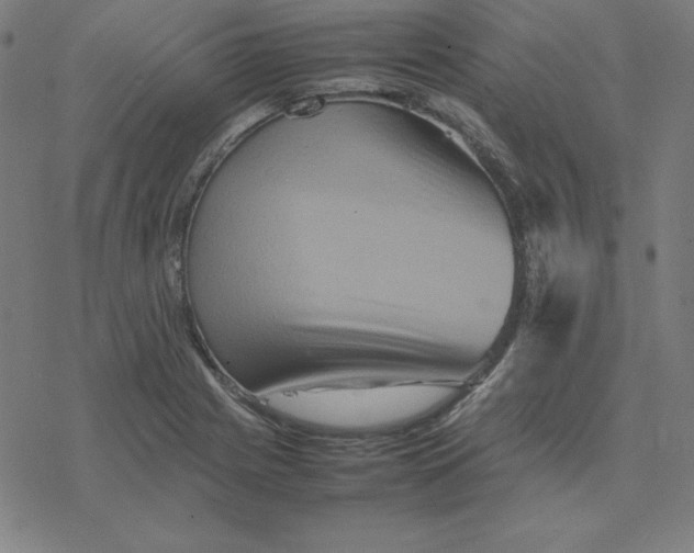 X0000077291225200611101334