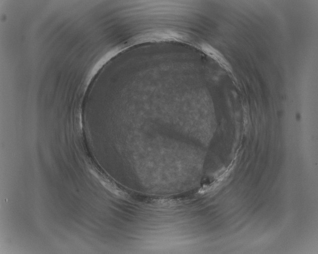 X0000077291226200611101334