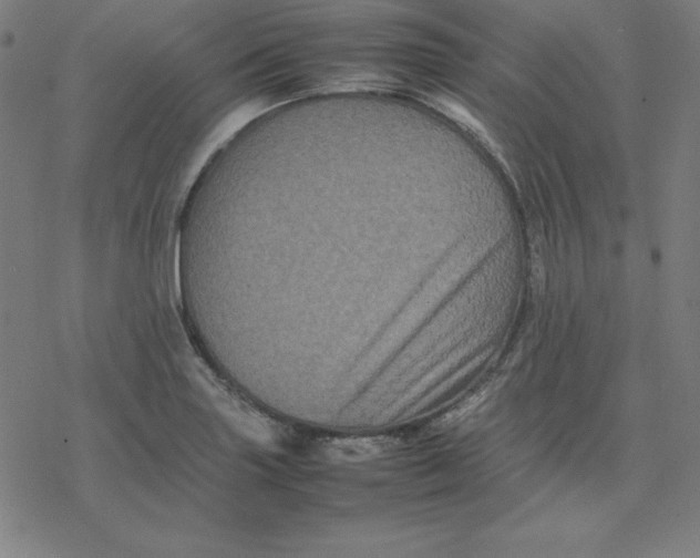 X0000077291227200611101335