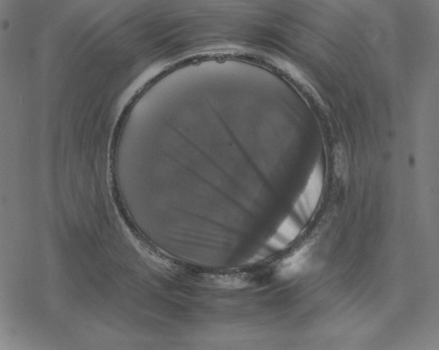 X0000077291229200611101335