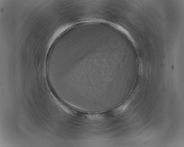 X0000077291231200611101335