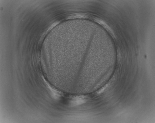 X0000077291233200611101335