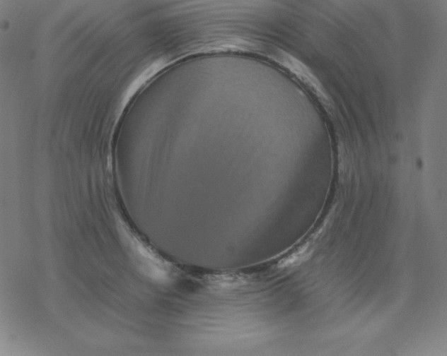 X0000077291234200611101335