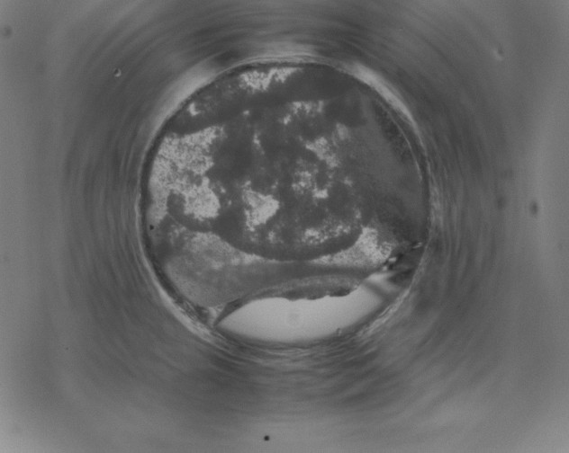 X0000077291237200611101335