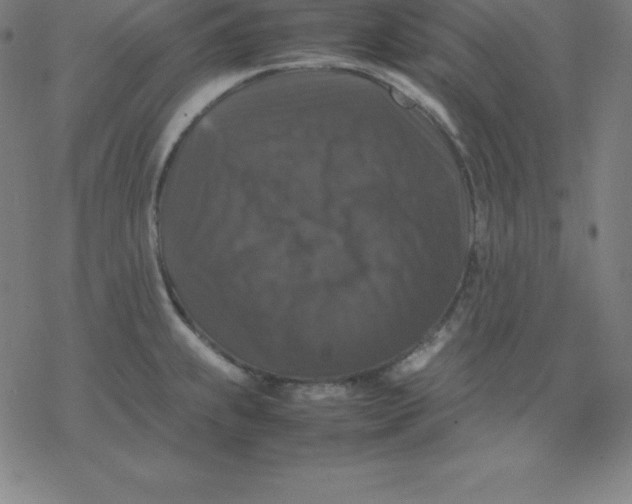 X0000077291239200611101335