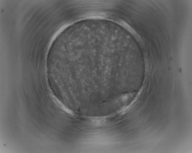 X0000077291240200611101335