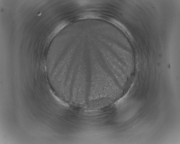 X0000077291241200611101335