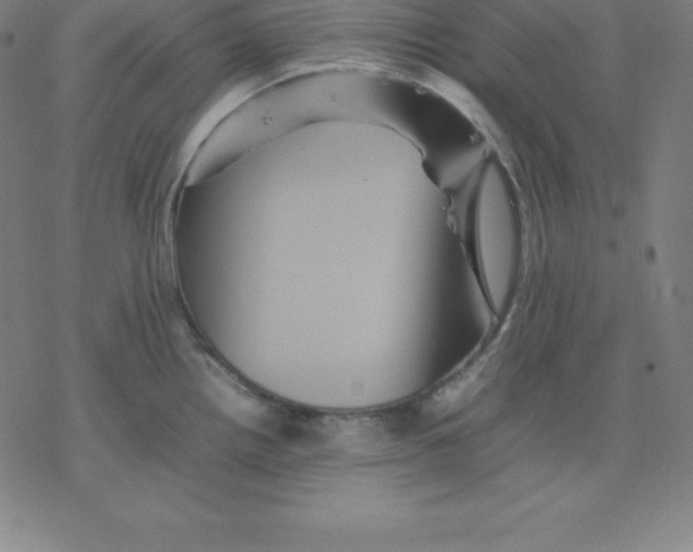 X0000077291242200611101335