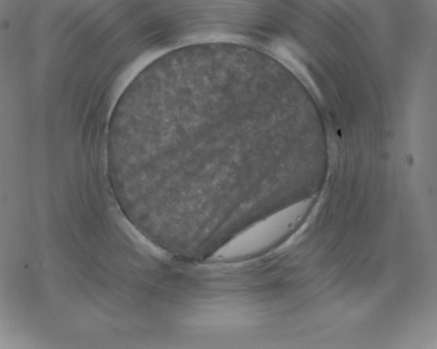 X0000077291244200611101335