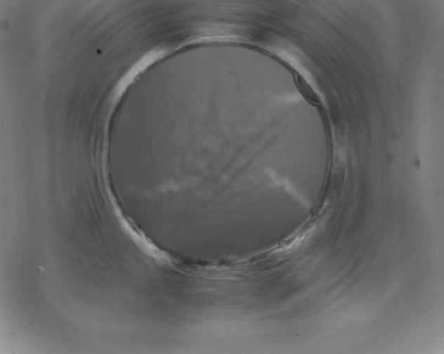 X0000077291245200611101335