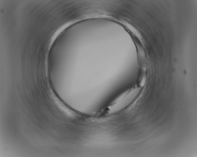 X0000077291246200611101335