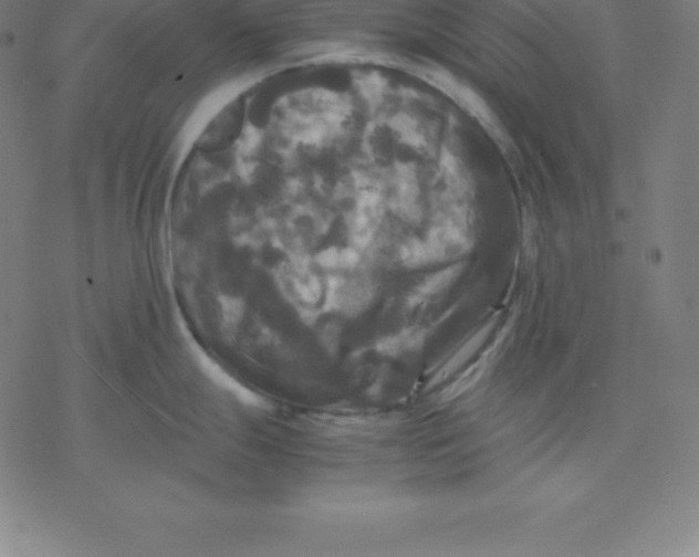 X0000077291247200611101335