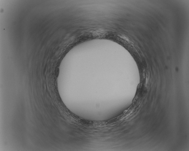 X0000077291249200611101334