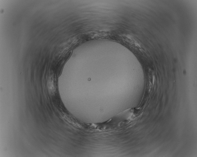 X0000077291250200611101334