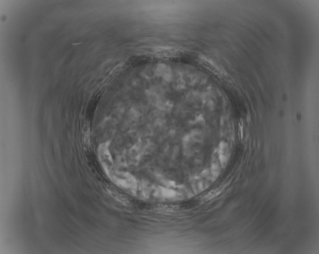 X0000077291251200611101334