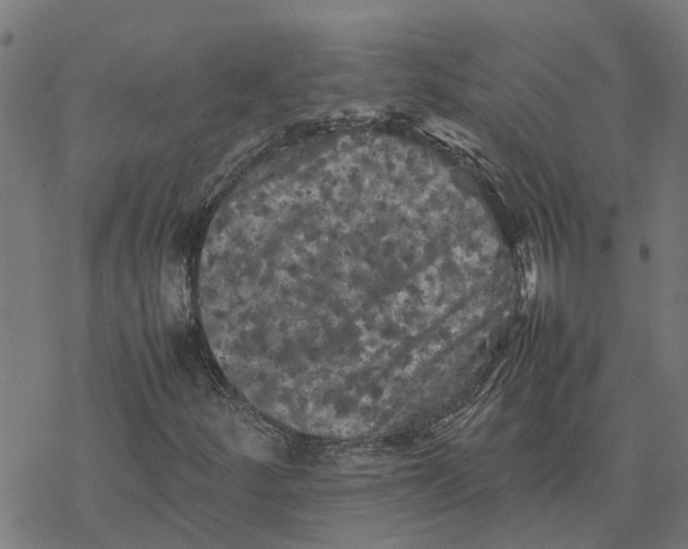 X0000077291252200611101334