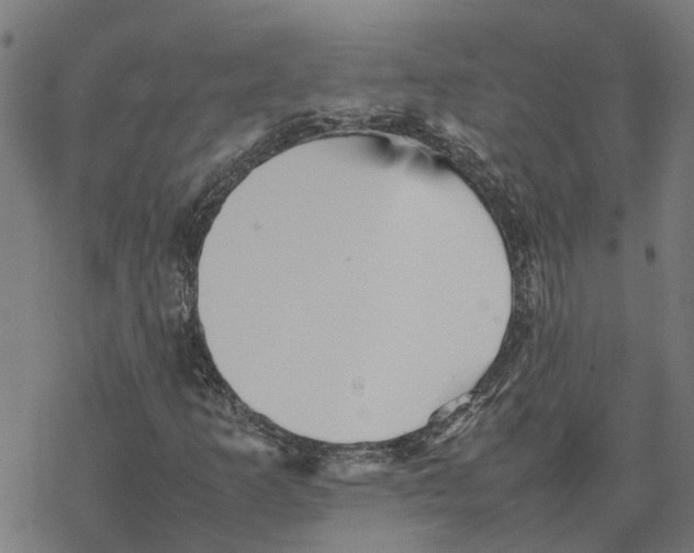 X0000077291253200611101334