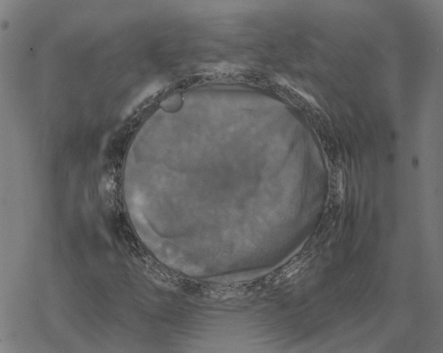 X0000077291254200611101334