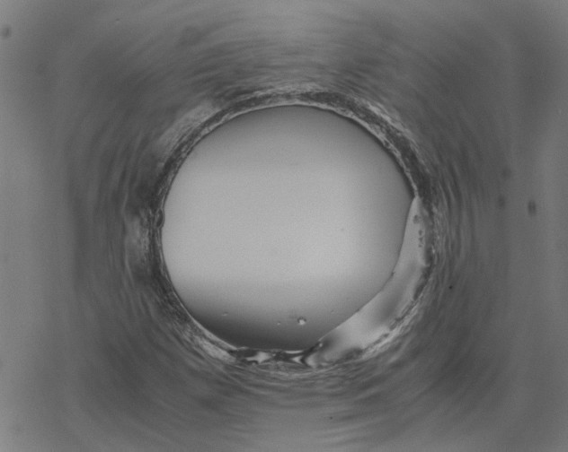 X0000077291257200611101334