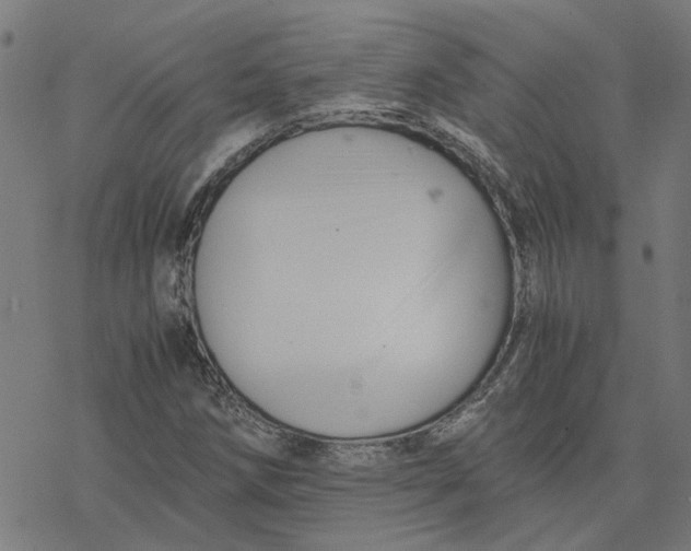 X0000077291258200611101334