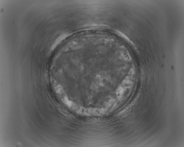 X0000077291259200611101334