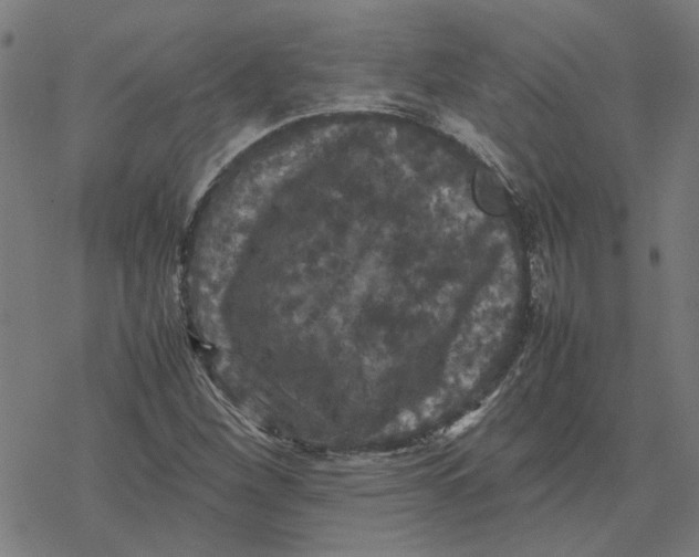 X0000077291260200611101334