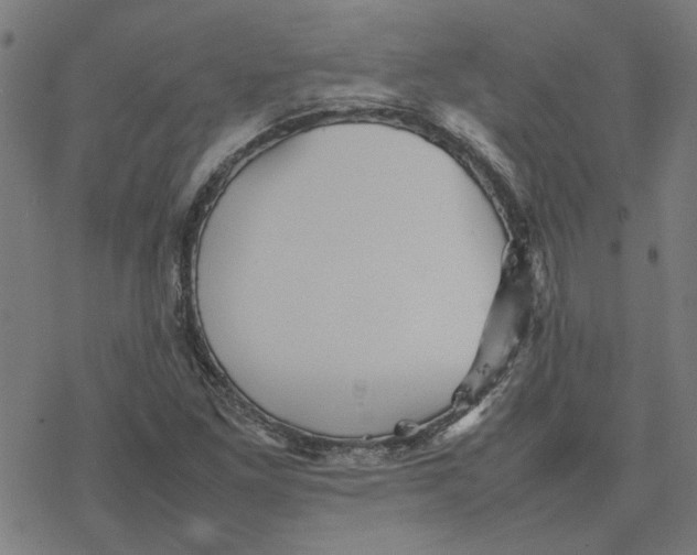 X0000077291261200611101334