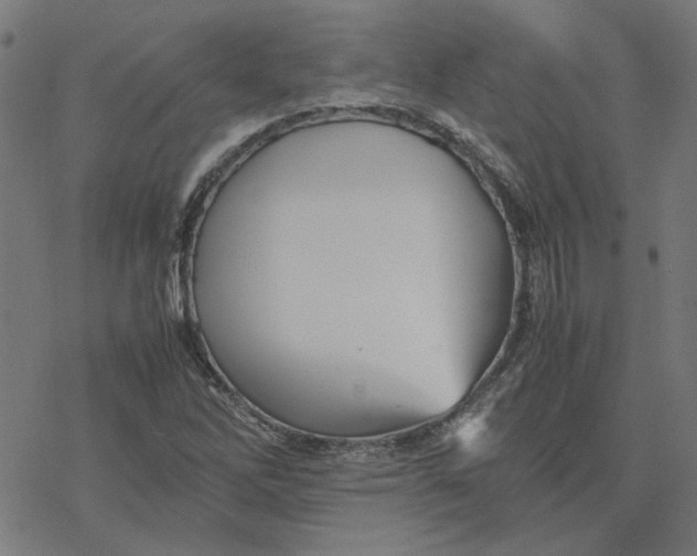 X0000077291262200611101334